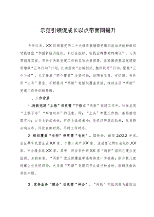 两新党建工作典型经验材料：示范引领促成长 以点带面同提升.docx