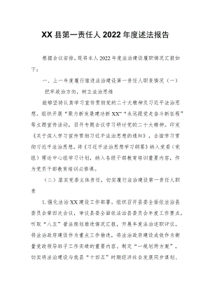 XX县第一责任人2022年度述法报告.docx