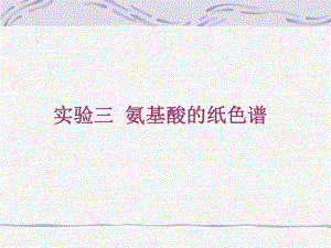氨基酸的纸色谱.ppt