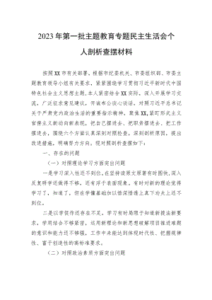 2023年第一批主题教育专题民主生活会个人剖析查摆材料 5篇.docx
