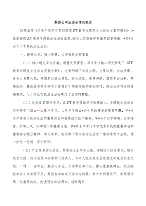 集团公司生活会情况报告.docx