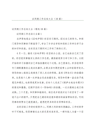 试用期工作总结大全（16篇）.docx