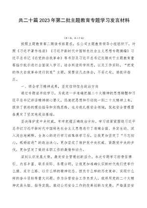 共二十篇2023年第二批主题教育专题学习发言材料.docx