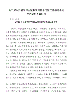 关于深入开展学习主题教育集体学习暨工作推进会的发言材料多篇汇编.docx