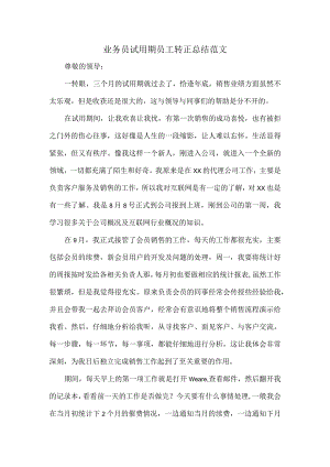 业务员试用期员工转正总结范文.docx