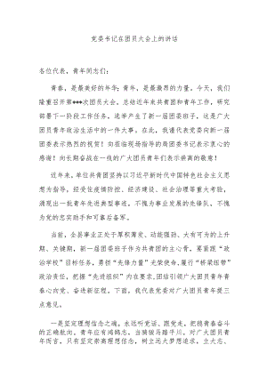 党委书记在团员大会上的讲话.docx