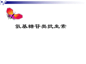 氨基糖苷类抗生素.ppt