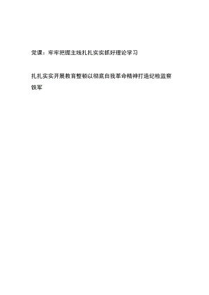 党课：牢牢把握主线扎扎实实抓好理论学习、扎扎实实开展教育整顿以彻底自我革命精神打造纪检监察铁军.docx