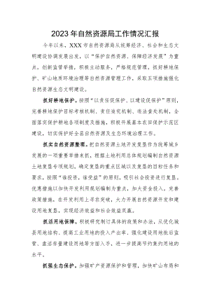 2023年自然资源局工作情况汇报.docx