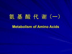 氨基酸代谢一.ppt