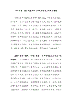 2023年第二批主题教育学习专题研讨会上的发言材料.docx