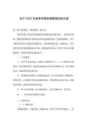 发展新团员实施方案模板.docx
