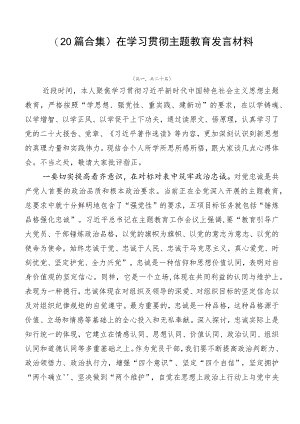 （20篇合集）在学习贯彻主题教育发言材料.docx