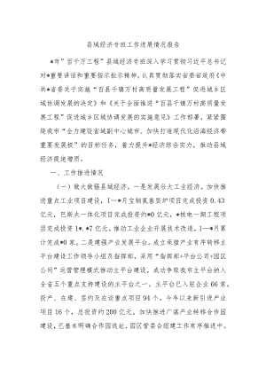 县域经济专班工作进展情况报告.docx