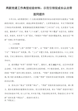 两新党建工作典型经验材料：示范引领促成长 以点带面同提升.docx