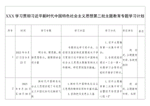 XXX第二批主题教育专题学习计划.docx