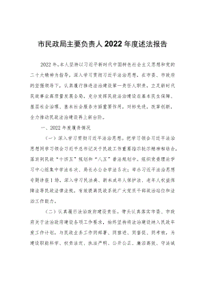 市民政局主要负责人2022年度述法报告.docx