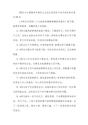2023年主题教育专题民主生活会党委班子成员相互批评意见60条.docx