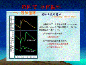 循环生理器官循环.ppt