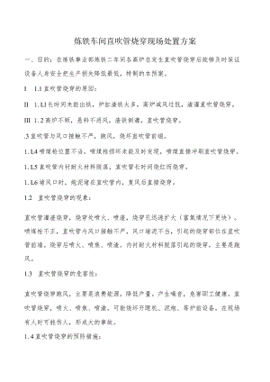 车间直吹管烧穿现场处置方案.docx