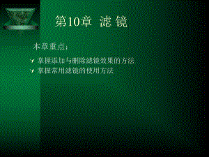 第10章滤镜.ppt