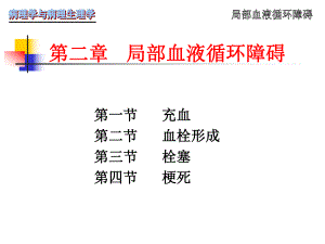 病理学第3章局部血液循环障碍.ppt