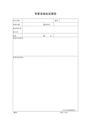 专家咨询会议报告.docx