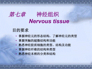 第07章神经组织.ppt