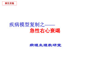 疾病模型复制之急性右心衰竭.ppt