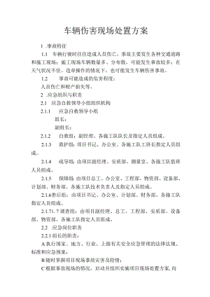 车辆伤害现场处置方案.docx