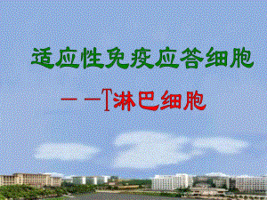 第10章T细胞08下.ppt