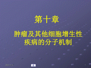 第10章肿瘤及其他细胞增生性.ppt