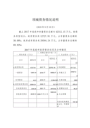 项城债务情况说明.docx