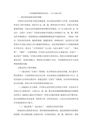 幼儿园中班健康《小小旅行家》教案.docx