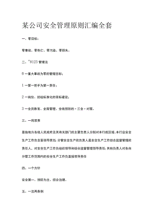 某公司安全管理原则汇编全套.docx