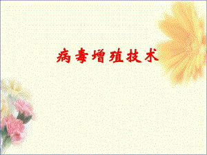 病毒培养技术.ppt