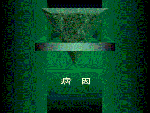 病因名师编辑PPT课件.ppt