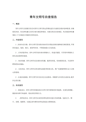 青年文明号自查报告.docx