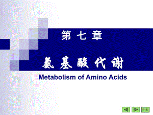 第07章氨基酸.ppt
