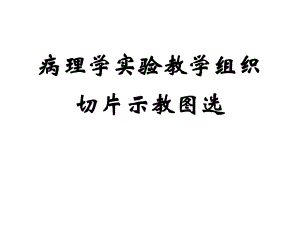 病理学实验教学组织切片示教图选.ppt