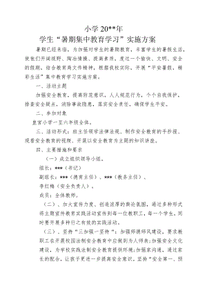 小学学生暑期集中教育实施方案.docx