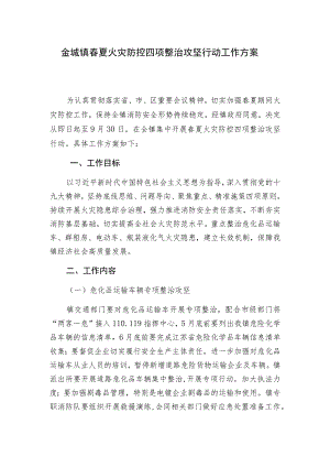 金城镇春夏火灾防控四项整治攻坚行动工作方案.docx