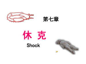 病理生理学休克.ppt