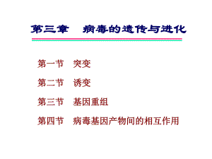 病毒的遗传与进化ch23.ppt