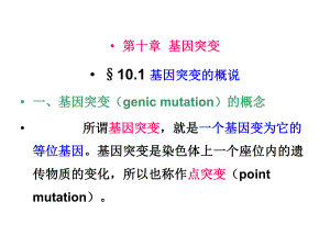第10章基因突变.ppt