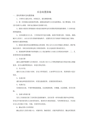 应急处置措施.docx