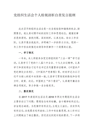 党组织生活会个人检视剖析自查发言提纲.docx