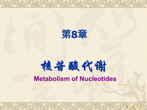 第08章核苷酸代谢.ppt