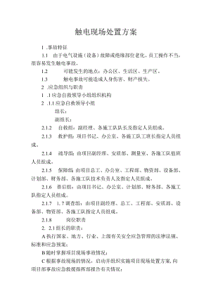 触电现场处置方案.docx