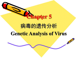 病毒的传分析.ppt
